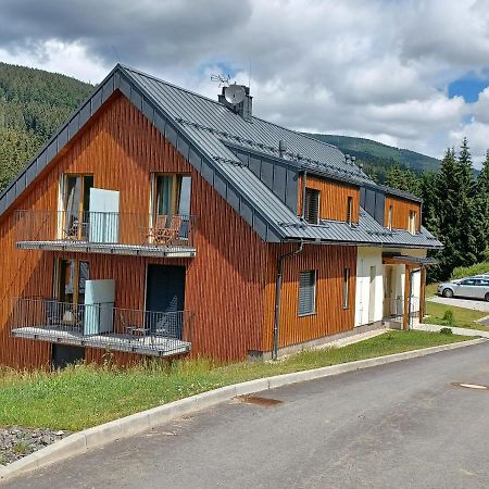 Apartman Pod Sjezdovkami Долни-Морава Экстерьер фото
