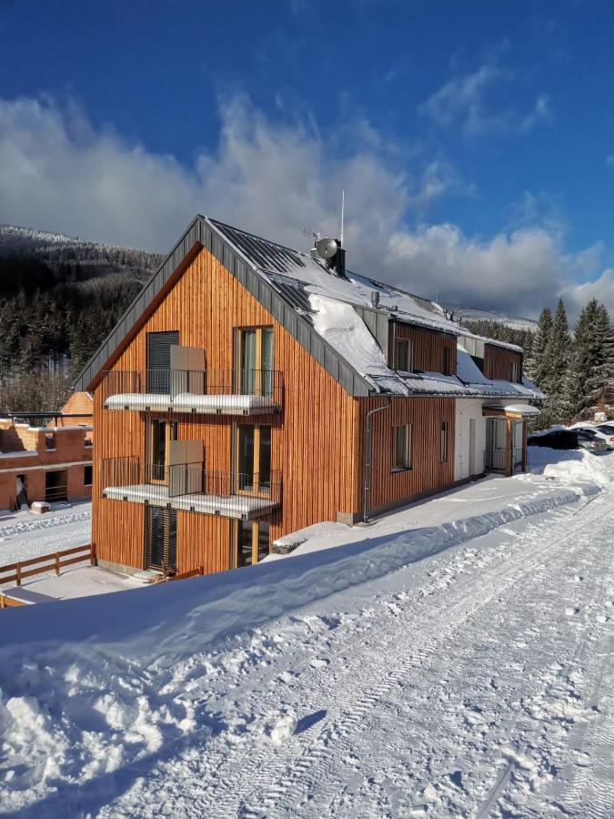 Apartman Pod Sjezdovkami Долни-Морава Экстерьер фото